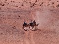 Wadi Rum (65)